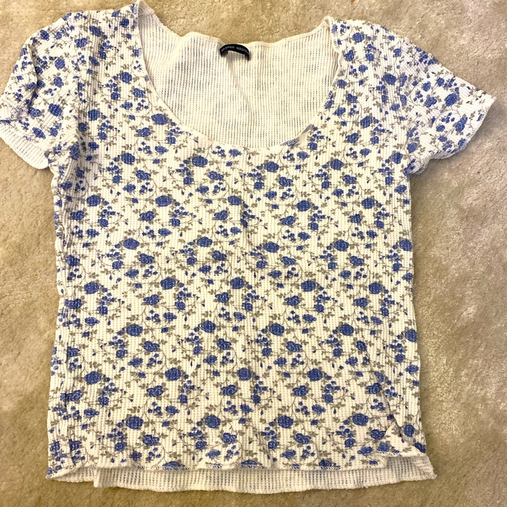 Brandy Melville Rose Blue Floral Zelly Top